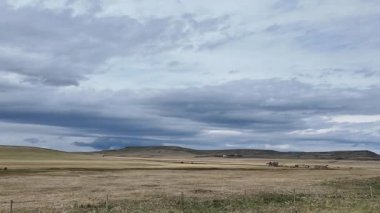 Yazın başında Kanada kırlarında