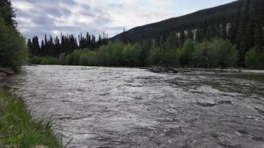 Kanada Kayalıklarında yaz başları