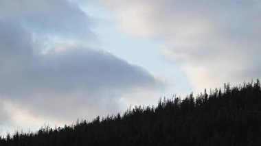 Kanada Kayalıklarında yaz başları