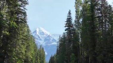 Kanada Kayalıklarında yaz başları