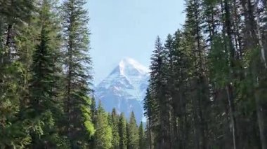 Kanada Kayalıklarında yaz başları