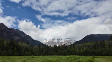 Kanada Kayalıklarında yaz başları