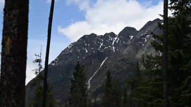 Kanada Kayalıklarında ilkbaharın sonlarında zaman aşımı