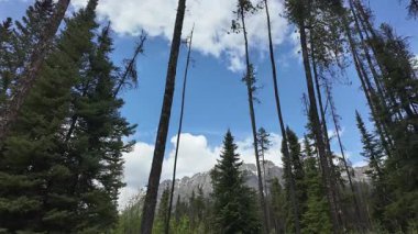 Kanada Kayalıklarında ilkbaharın sonlarında zaman aşımı