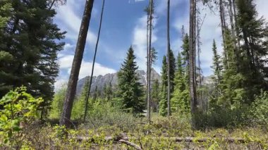Kanada Kayalıklarında ilkbaharın sonlarında zaman aşımı