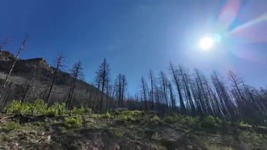 Kanada Kayalıkları 'nda bahar sonu