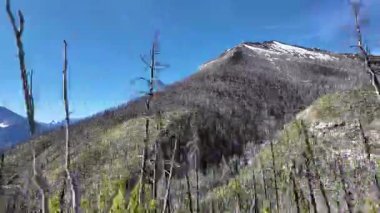 Kanada Kayalıkları 'nda bahar sonu