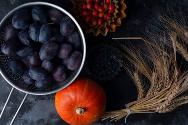 Balkabakları, erikler ve böğürtlenlerle dolu bir sonbahar. Sonbaharın Hediyeleri.