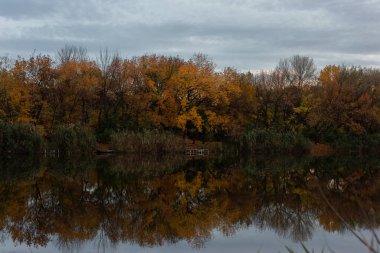 Nehrin yansımasındaki ağaçların sonbahar akşamı manzarası. altın sonbahar.