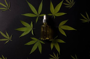 Cbd yağı ile çeşitli cam şişeler, Thc tentür ve kenevir mermer bir arka plan üzerinde yaprakları. Düz yatıyordu, minimalizm. Kozmetik Cbd yağı.