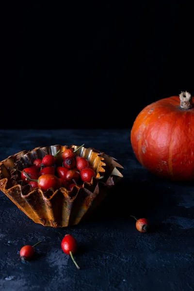 明るい秋はまだ暗い背景で生きています ブラックテクスチャテーブルの上のカボチャと赤い果実 — ストック写真