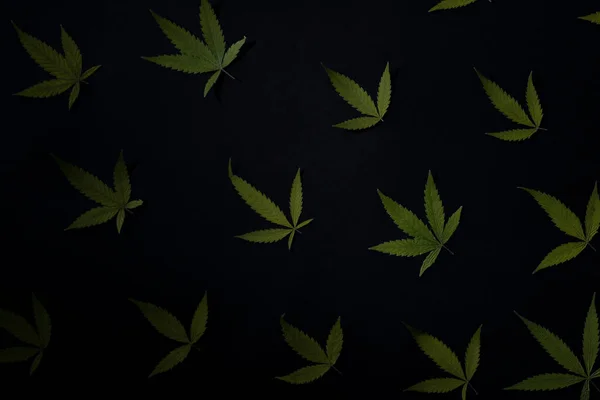 Patrón Hoja Cannabis Sobre Fondo Negro Textura —  Fotos de Stock