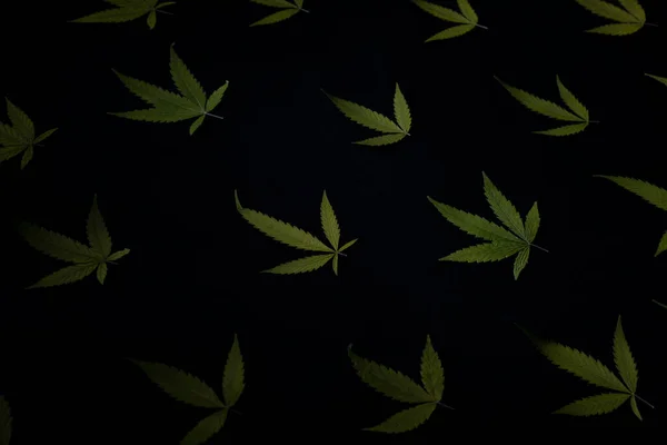 Padrão Folha Cannabis Textura Fundo Preto — Fotografia de Stock