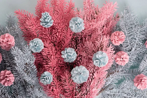 Noel Minimalist Kompozisyonu Pembe Mavi Ladin Dalları Koni — Stok fotoğraf