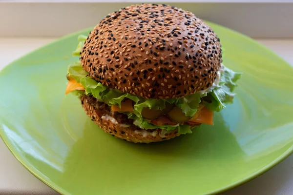 Fast Food Burger Junk Food Plate — Stock Photo, Image
