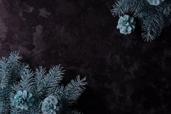Yılbaşı Dairesi Soyut Koyu Arkaplanda Mavi Ile Boyanmış Köknar Ağacıyla — Stok fotoğraf
