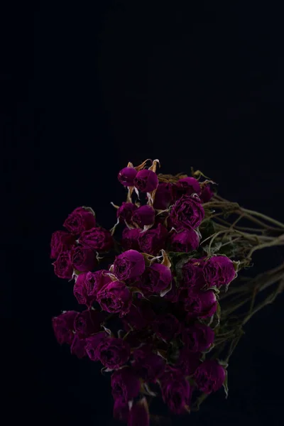 Petites Fleurs Violet Vif Roses Sèches Sur Noir — Photo