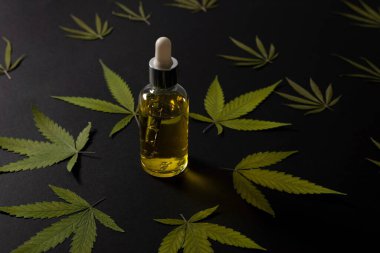 Cbd yağı ile çeşitli cam şişeler, Thc tentür ve kenevir mermer bir arka plan üzerinde yaprakları. Düz yatıyordu, minimalizm. Kozmetik Cbd yağı.