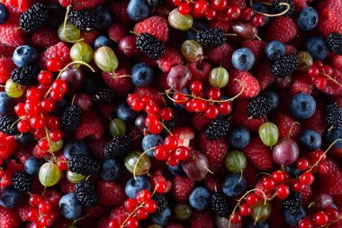 Taze böğürtlen çeşitleri ve böğürtlen ahududu, üzümler, böğürtlen ve böğürtlen..