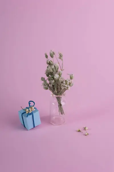 Весенний Подарок Розовом Фоне Стоковое Фото