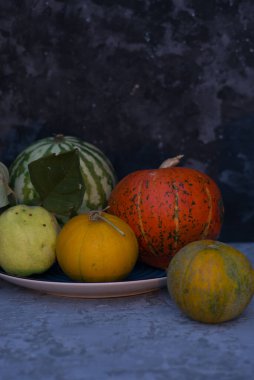 Sonbahar, hayat balkabağı dramatik bir şekilde.