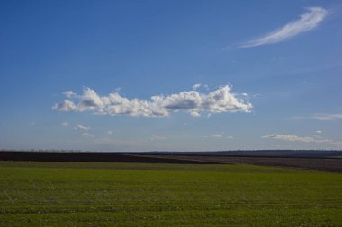 Küçük tepelerdeki yeşil çayır ve bulutlu mavi gökyüzü.