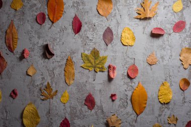 Sonbahar yapraklarının beton zemin üzerindeki dokusu.