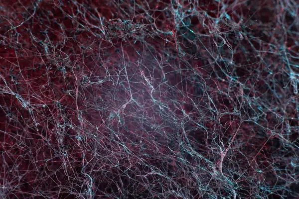 kırmızı soyut arkaplan desenli arkaplan. Küfün makrofotoğrafçılığı. Kalıp lifleri ve kristaller, bir nöral ağ gibi..