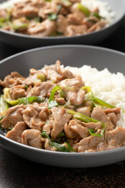 Chinese stir fry pork with ginger sauce, garlic and spring onion. Asian food.