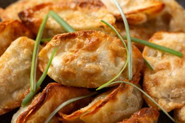 Sebzeli Gyoza usulü kızarmış köfte. Asya yemekleri