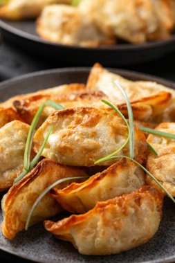Sebzeli Gyoza usulü kızarmış köfte. Asya yemekleri