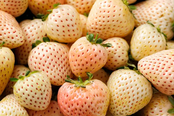 Bir kasede organik çiğ Pineberry çileği. Sağlıklı yemek..