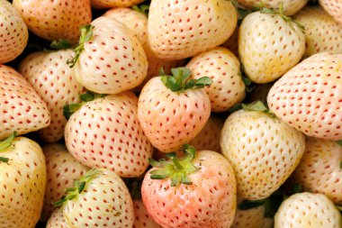 Bir kasede organik çiğ Pineberry çileği. Sağlıklı yemek..