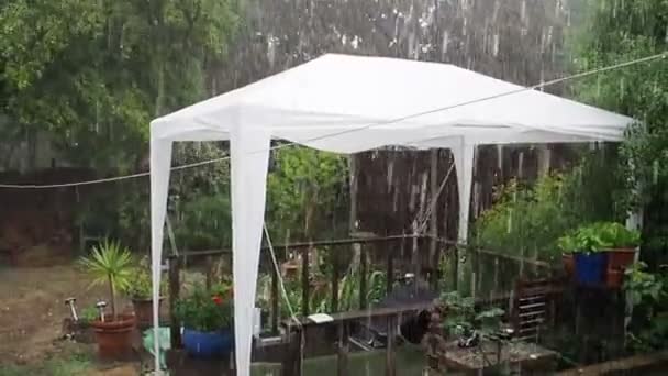 Film Filmowy Klip Ulewnego Deszczu Zbliżeniu Spada Altankę Małym Ogrodzie — Wideo stockowe