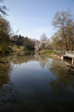 Dorset England 'daki Sturminster Newton Mill' de güneşli bir günde ilkbaharın başlarında