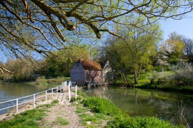 Dorset England 'daki Sturminster Newton Mill' de güneşli bir günde ilkbaharın başlarında