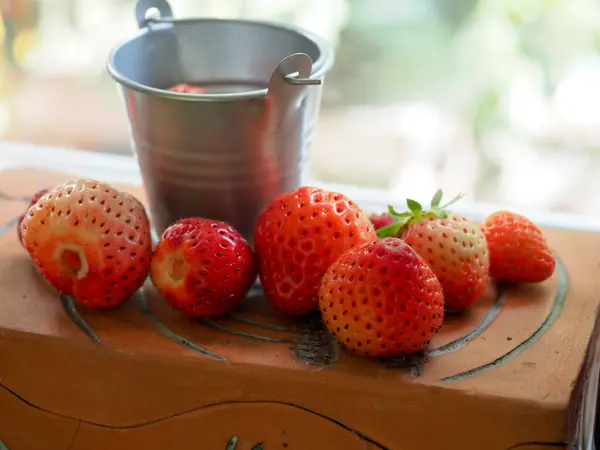 Home Grown Organic Strawberries Ripening Windowsill — Stock Photo, Image