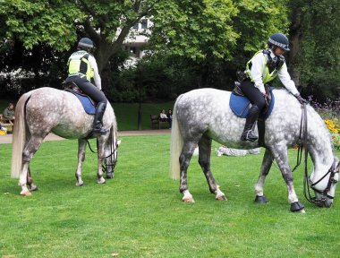 Londra şehir merkezindeki Victoria Baraj Parkı 'nda çimen yiyen iki güzel Dapple Grey polis atı.