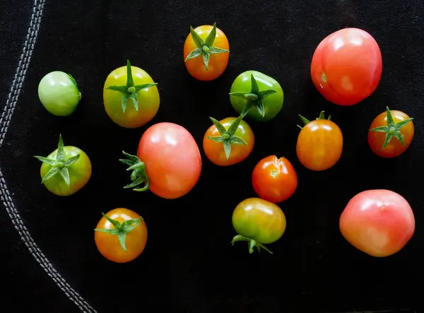 Tomates Caseiros Vários Tamanhos Cores Sobre Fundo Escuro — Fotografia de Stock
