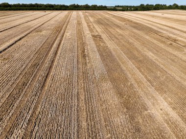 İngiltere 'de Dorset' te hasat edildikten sonra geniş bir altın kahverengi saman tarlası manzarası 