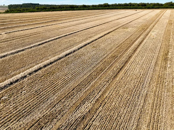 Вид Обширное Золотисто Коричневое Сенокосное Поле После Заготовлено Дорсе Великобритании — стоковое фото
