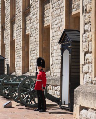 Ünlü ve ikonik muhafızlardan biri Londra Kulesi 'nin yanında hazır bekliyordu.