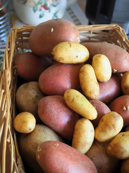 Yakın planda patates türlerinin çekici bir karışımı.