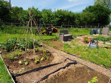 Bahçecilikte küçük ölçekli yetiştirin.