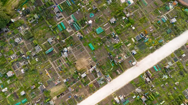 stock image drone view above allotment veg patches in Wimborne Minister