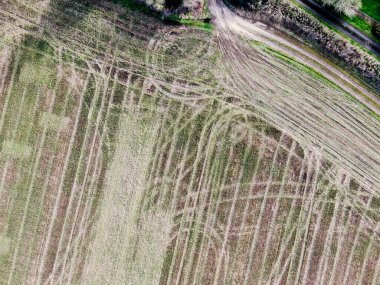 İngiltere 'nin Dorset kentindeki tarım arazisi yukarıdan görüldüğü gibi arazide çalışan makinelerden çizgiler gösteriyor.