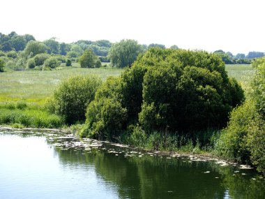 Stour nehrinin bir parçası Dorset 'te Wimborne kasabasının yakınında akıyor.