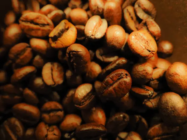 Altın kahverengi kahve çekirdeklerinin puslu atmosferik romantik resmi