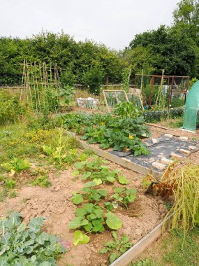 Yazın kendi bahçıvanlığınızı kurun.