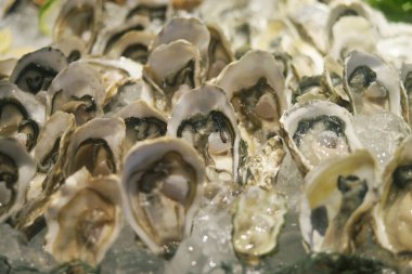 Restoranda açık büfedeki taze istiridyeler.